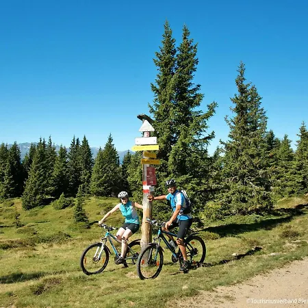 Studio Adler By Interhome *